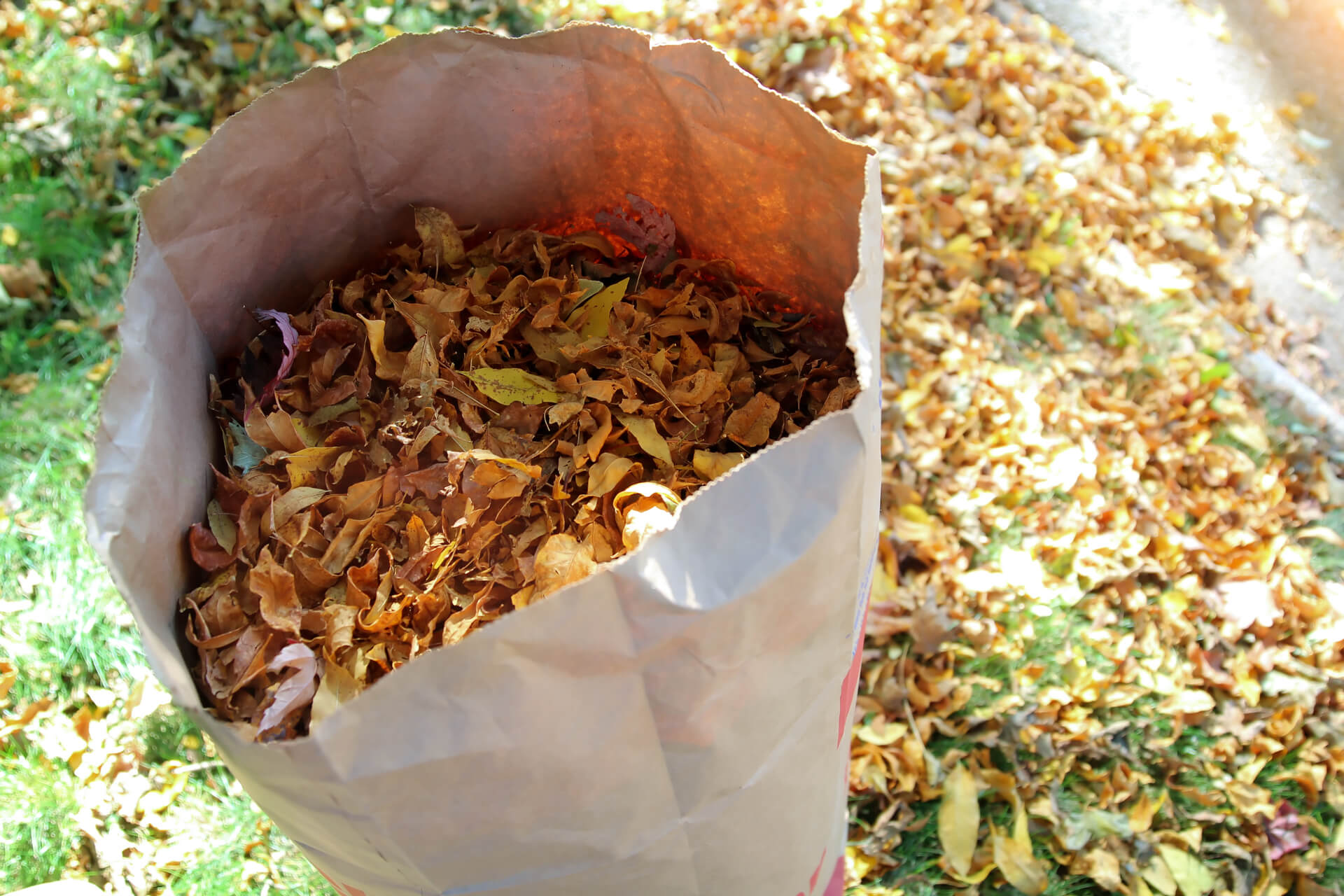 Leaf Bags Lawn Garden waste Bag Yard Leaves Trash Garbage Bag
